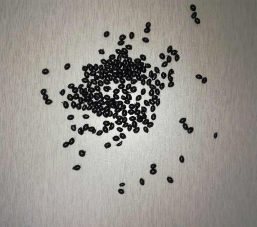 engineering plastics